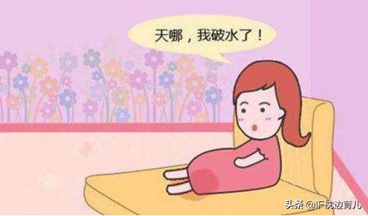 孕妇怀胎几月才能分娩:狗狗怀孕什么时候生，要做些什么？