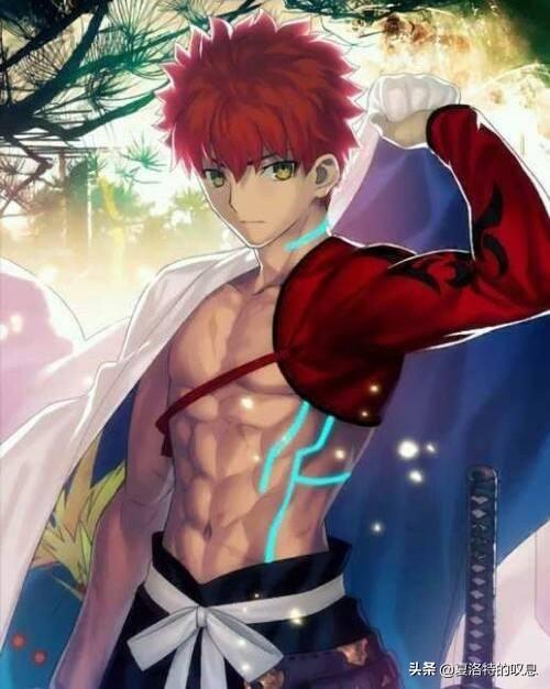 魔术事故:卫宫士郎在成年后做了什么能够成为英雄