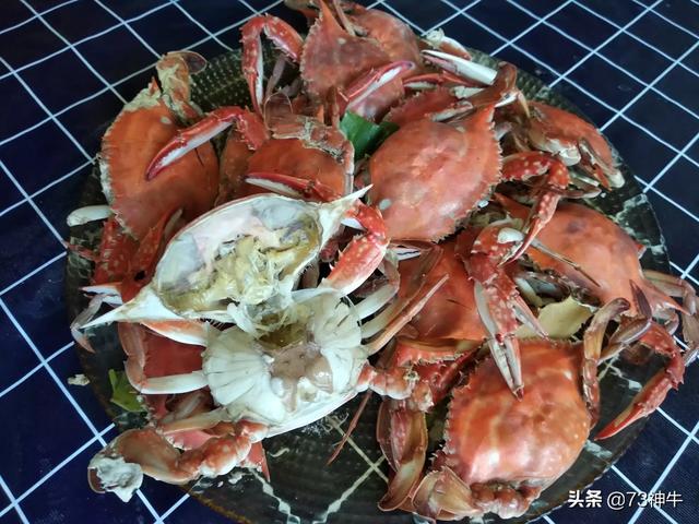 浙江临海警方破获一起特大非法捕捞案，辽宁的海鲜和山东的海鲜各自有什么特点