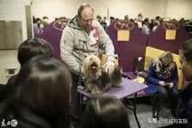 名犬杂志品牌及商品:能否把你见识过的名犬发出来吗？