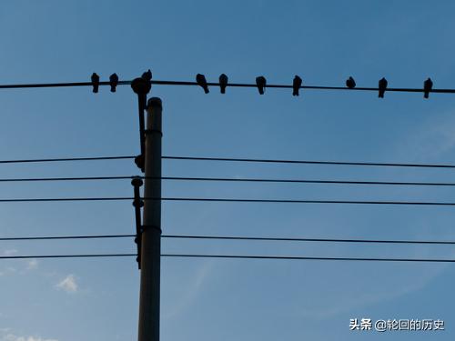 小鸟站在高压线上为什么不会触电，为什么燕子能站在电线上而不怕高压电流呢？