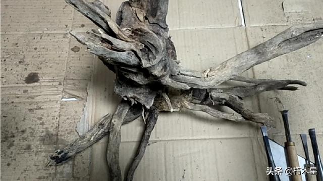 玉石雕刻培训去哪里学,想学习一门手艺该怎么找平台？