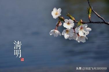 平等王:赘婿大结局宁立恒当上皇帝了吗？宁毅有几个女人几个孩子？