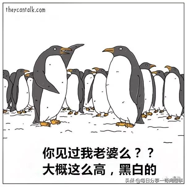 网上最近很火的那段话:2020年都有哪些流行的梗，说出来大家一起乐乐？