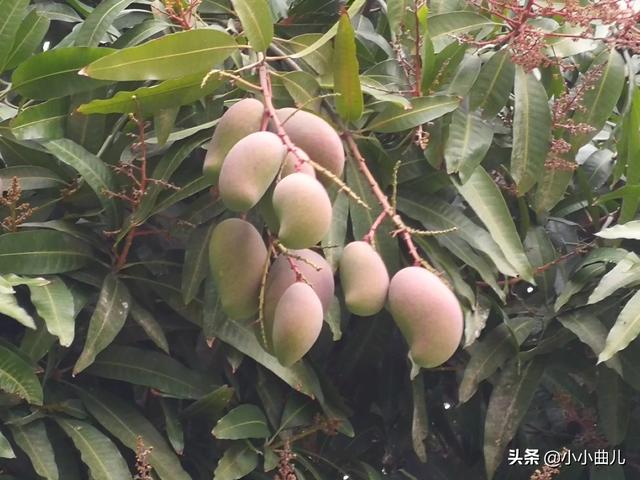 郑钧为水木年华抱不平:你比较喜欢哪些民谣歌手有哪些好听的民谣推荐