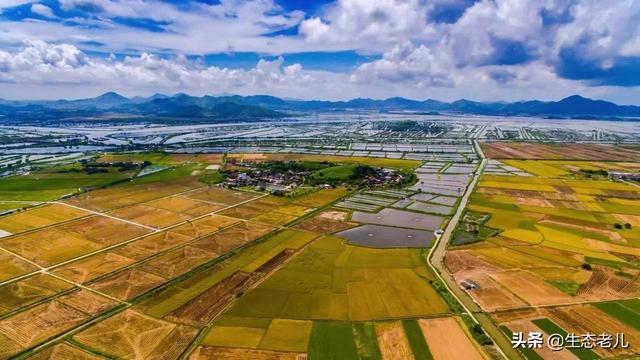 竹鼠图片:白色竹鼠图片 在农村40岁，有啥可以挣钱的途径？