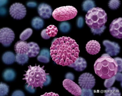 世界末日论:关于世界末日论，你会相信吗？