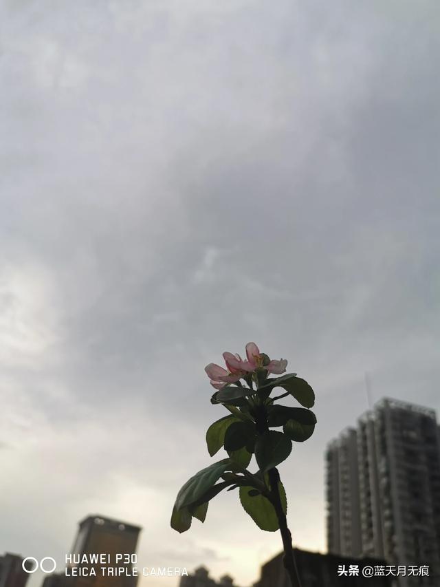 8点到10点现在13点半了，我日日日日日日日
