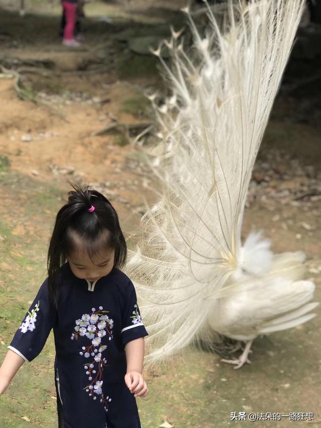 白云山旅游,请问广州白云山有哪些风景区？