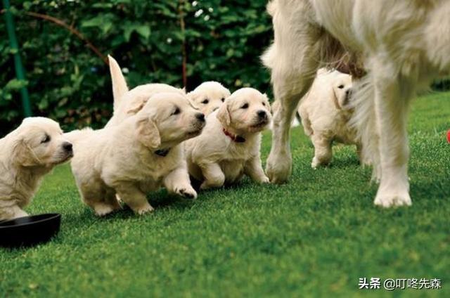 孕妇补钙过量后果:孕期需要一直吃钙片跟爱乐维吗？会不会因为补钙多而不好顺产？