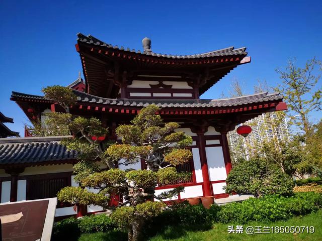 寒舞照片:你见过最让你心生悲凉的nba照片是哪张？