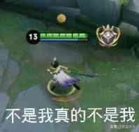 王者荣耀中为什么感觉有一些人对瑶这个英雄有很大的敌意？