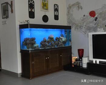 头条问答 不到七十个平方的房子三个卧室 客厅很方正 鱼缸应该摆在哪里 5个回答