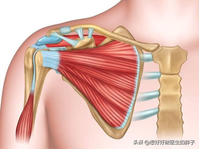 拔罐进风疼痛肩膀疼痛怎么办?肩膀拔罐拔出水泡是怎么回事