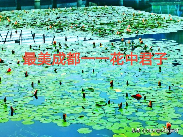 怎样才能拍出一部好的微电影(儿童影楼微电影怎么拍摄)