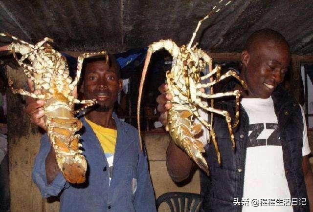 非洲人一般都吃什么呢？插图126
