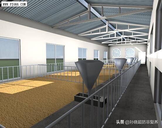 建一个小牧原养猪场,养1000头猪的猪舍要多少钱？
