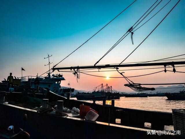 苏紫紫艺术照:“摄影实拍客”都会拍摄哪些日常？