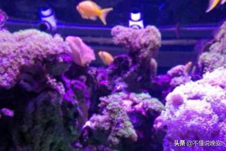郑州马拉弯:郑州情侣十大必去之地，郑州适合情侣去的景点