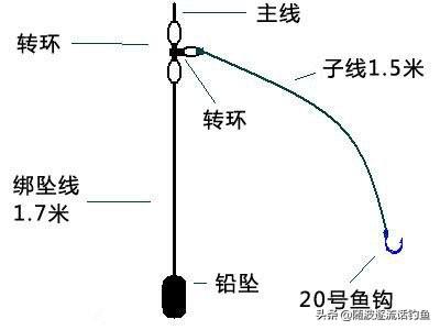 鲈鱼的生活习性:海钓鲈鱼什么时候最好？为何？