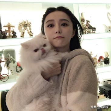 你觉得内地女演员最漂亮的是哪位？为什么？