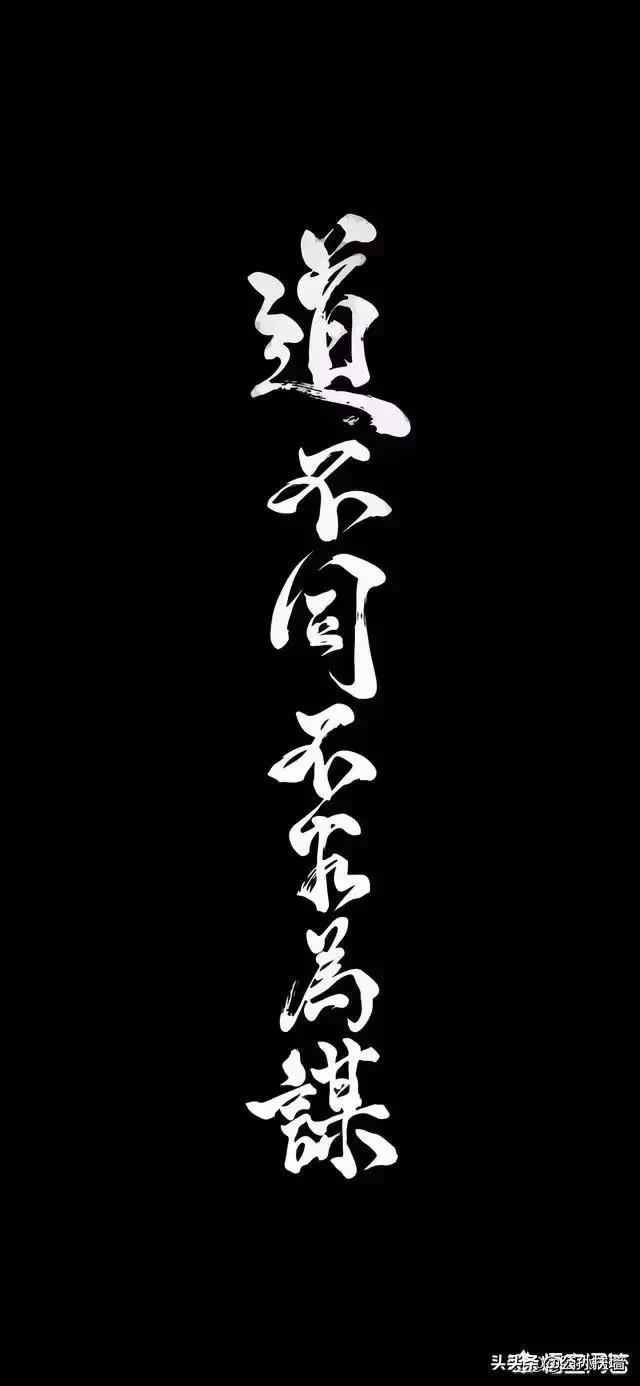 300左右的价位买泸州老窖特曲还是洋河天之蓝？