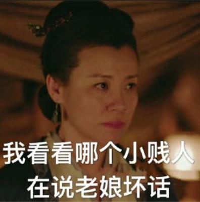 庆余年二皇子结局:《庆余年》原著中，范闲的贴身丫头，思思和冬儿的结局为什么不同