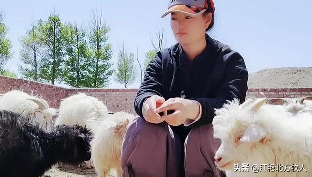 回农村搞养殖怎么样,赚钱吗,比如养牛？