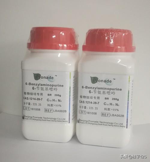 戴更基pdf百度云:苄氨基嘌呤的特点是什么？有哪些主要用途？
