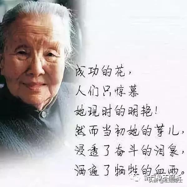 可以用什么词来形容冰心的诗集？
