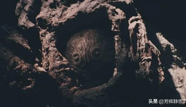 06真龙吃人的照片，《龙岭迷窟》中能把人吸成枯树皮的人脸大蜘蛛到底是种什么怪物