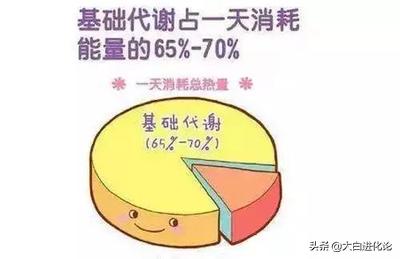 健身期间,碳水该怎么摄入？