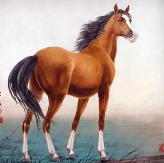 2022生肖牛运势运程七星堂,无论到哪都很受追捧的生肖有哪些？