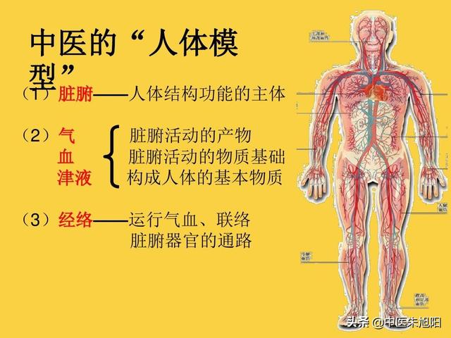 内伤发热:手心、脚心都热是怎么回事？