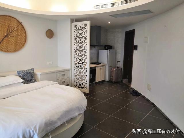 海口罗威纳论坛:海南省哪个城市最发达？你如何评价？