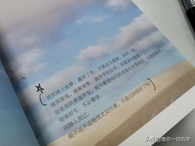阳光快车道主持人:为什么有人觉得山东卫视没有好的主持人？