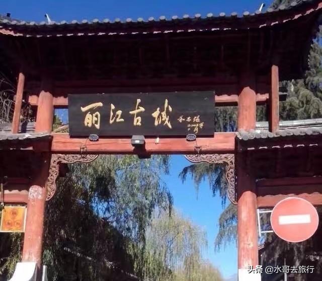 豆柴小犬资源:没钱可以外出旅游吗？一边挣钱，一边旅游，怎么样？ 豆柴小犬 电视剧