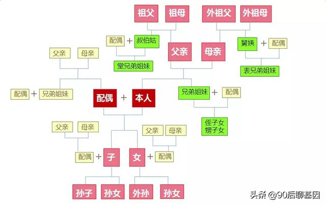 近亲繁殖效应:为什么近亲结婚会生不健康的宝宝？