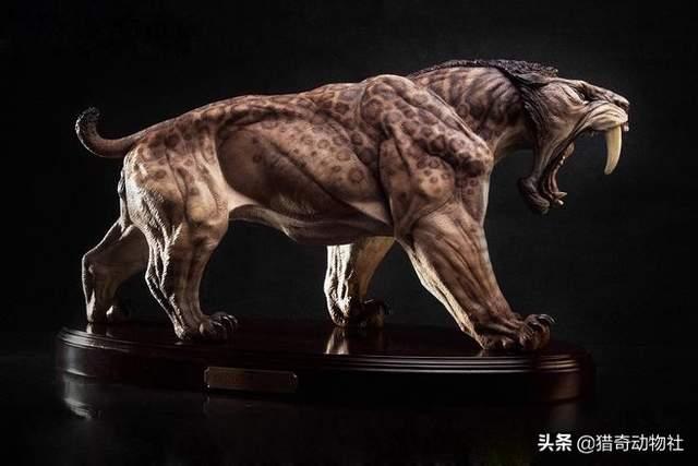 非洲象人族纪录片:印第安人是不是从北冰洋过去的亚洲人
