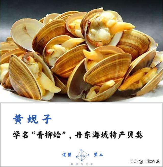 龙趸王:中国四个海哪个海里的海鲜好吃，为什么