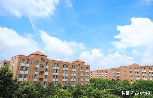 广州南洋理工灵异事件:新加坡南洋理工的新设备如何快速检测出有害气体？