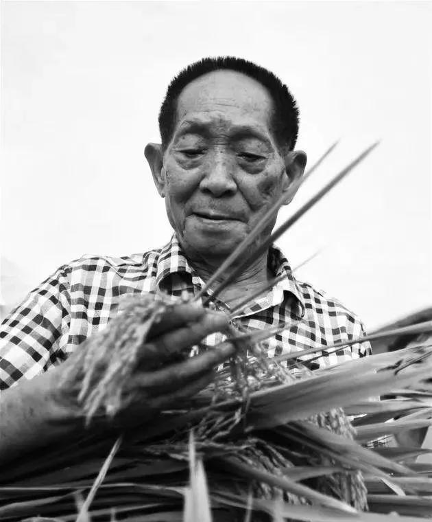 袁隆平去世了,他的追悼会将会是什么规格？