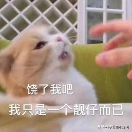 无业中,有什么赚钱的项目值得推荐？