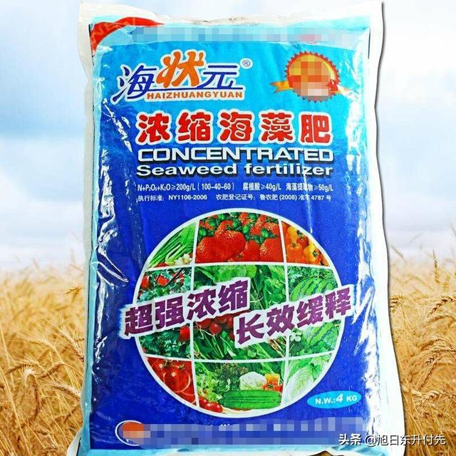 素力高海藻粉:海藻类肥料是什么肥料？对蔬菜种植有什么好处？