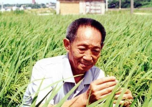 袁隆平简历:袁隆平院士究竟是哪里人？户籍、贯籍和祖籍有哪些差异？
