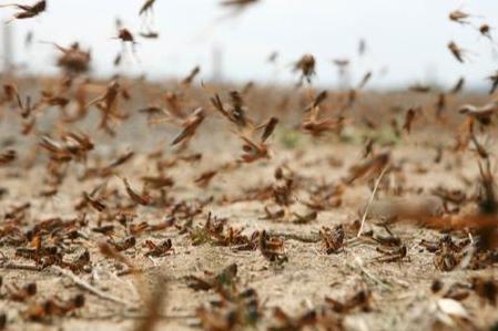 曹雪芹家族被抄家时，总共查抄了多少家产？插图46