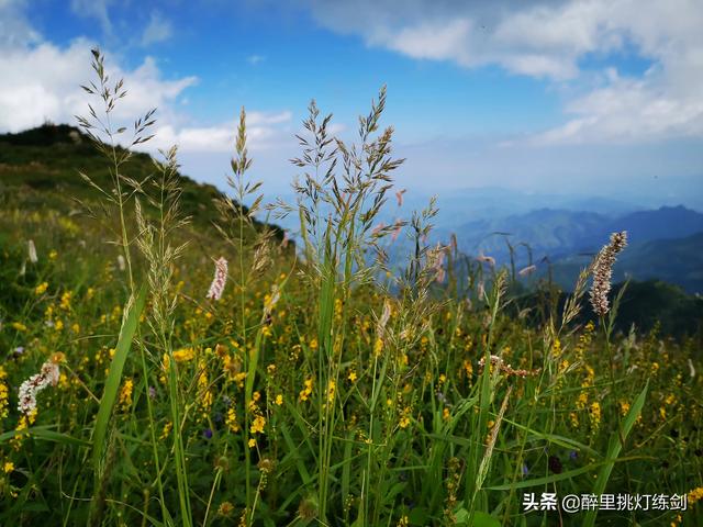 石家庄旅游景点开放吗？