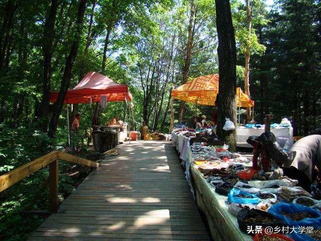 我想把家乡土特产推广出去，有哪些建议(如何推广家乡特产)