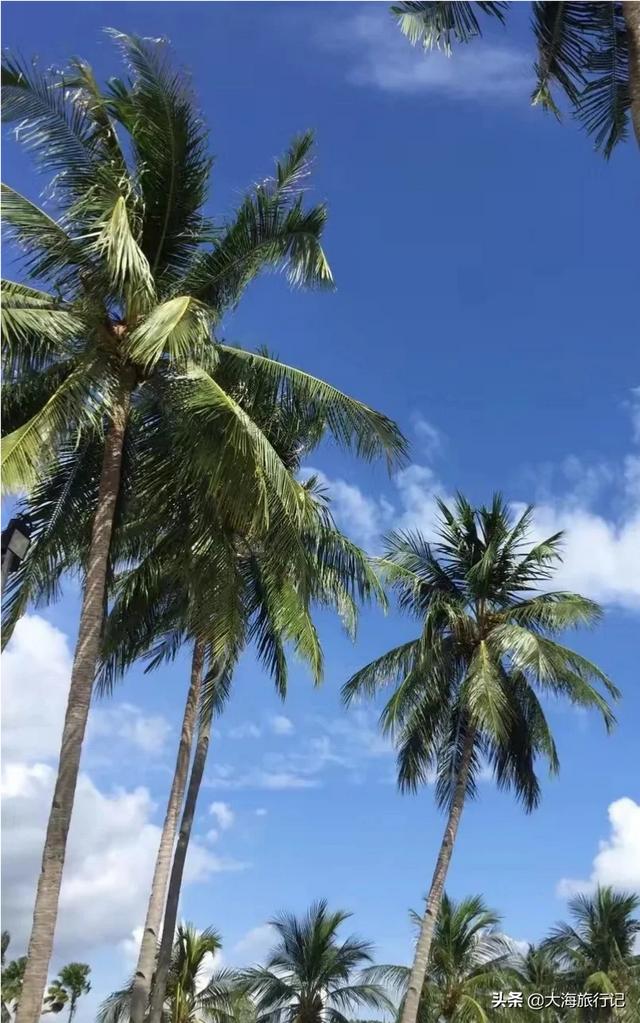 菲律宾巧克力山:菲律宾长滩岛有哪些必玩项目呢
