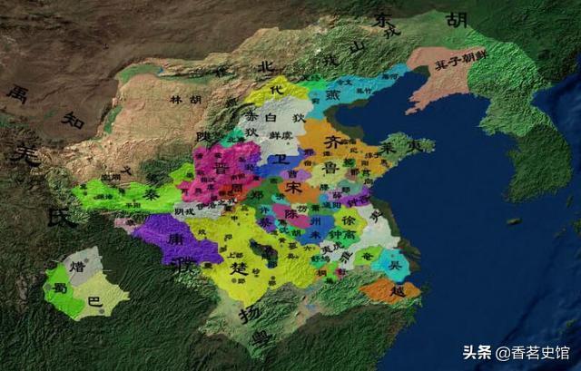 家养大鹅的祖先:为什么农村里养的一些鹅爱追着人跑是什么原因